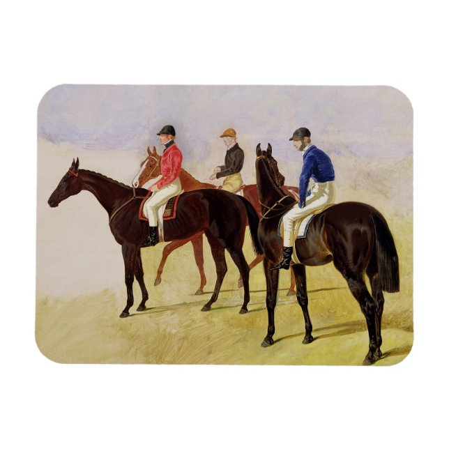 Study of Three Steeplechase Cracks: Allen McDonoug Magnet (Horizontal)