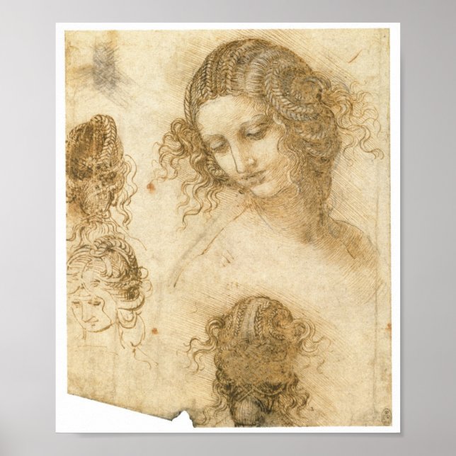 Study of Woman for Lost painting Leda, da Vinci Poster (Front)