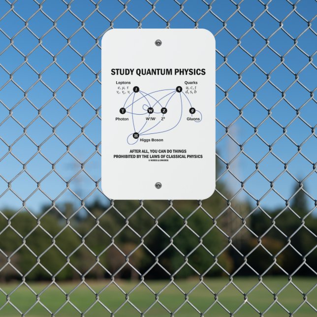 Study Quantum Physics Higgs Field Standard Model Metal Sign (In Situ(Fence))