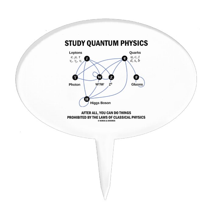 Study Quantum Physics You Can Do Things Cake Toppers