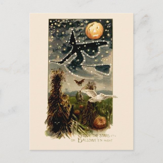 Study the Stars on Halloween Night- Postcard (Front)