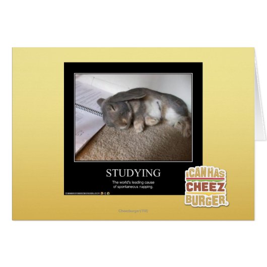 Studying Cards (Front Horizontal)
