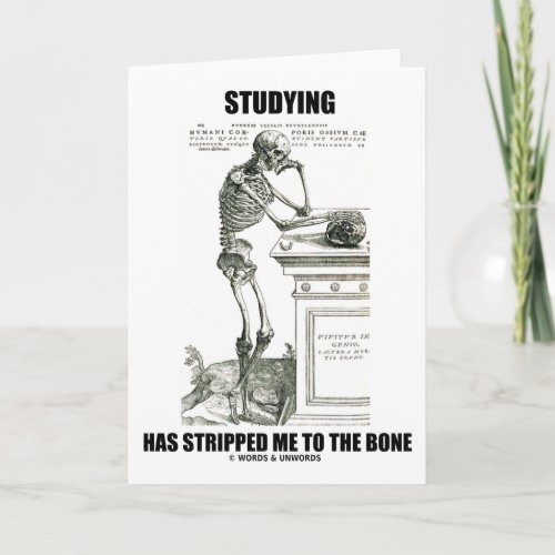 Studying Has Stripped Me To The Bone Skeleton Card