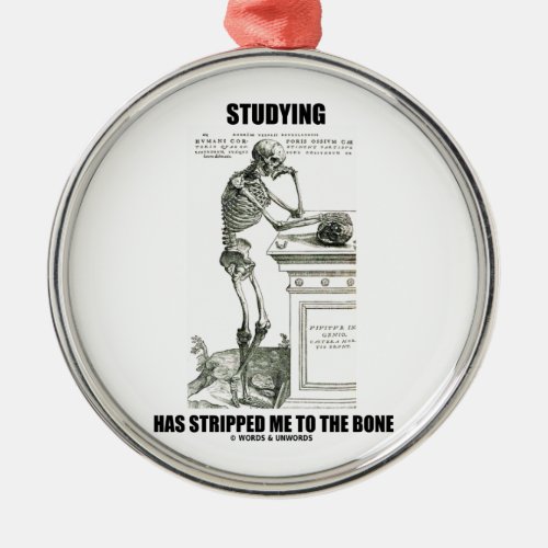 Studying Has Stripped Me To The Bone Skeleton Metal Ornament