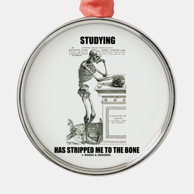 Studying Has Stripped Me To The Bone (Skeleton) Metal Ornament (Front)