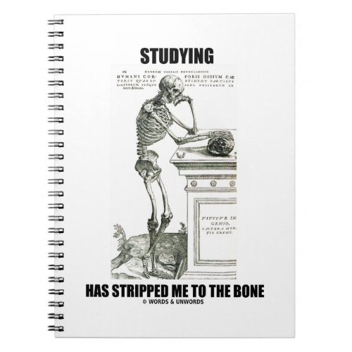 Studying Has Stripped Me To The Bone Skeleton Notebook