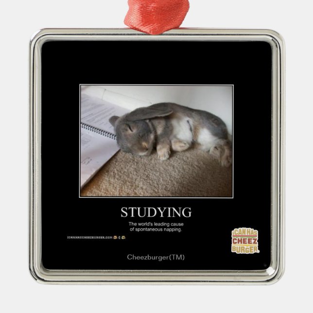 Studying Metal Ornament (Front)