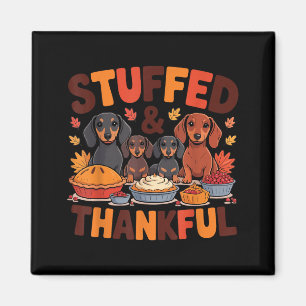 Stuffed And Thankful Dachshund Funny Thanksgiving Magnet