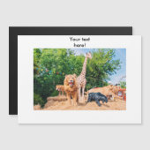 Stuffed animals (Front/Back)