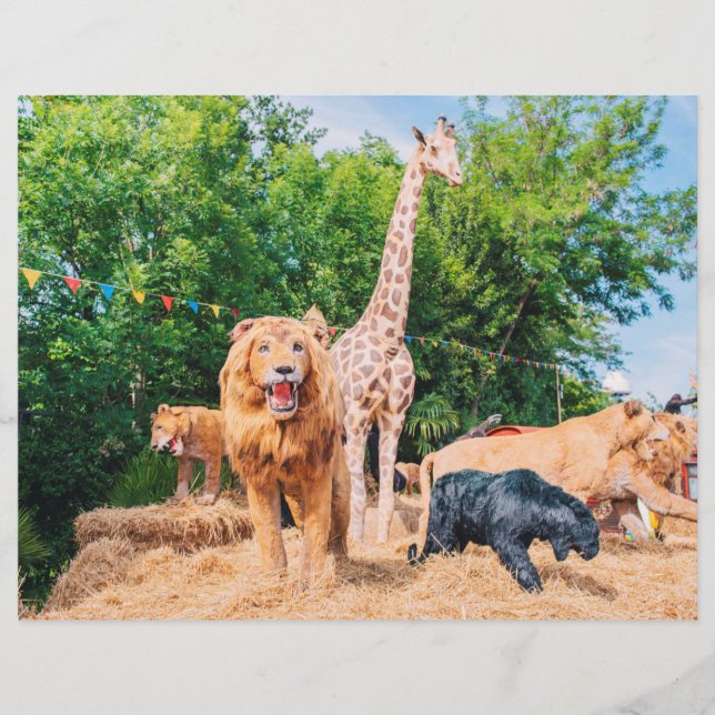 Stuffed animals flyer (Front)