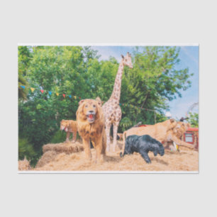 Stuffed animals tissue paper