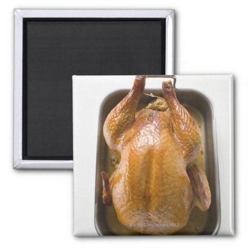 Stuffed roast turkey in roasting tray close up magnet