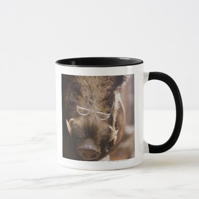 Stuffed Wild Boar Wearing Glasses Outside Mug (Right)