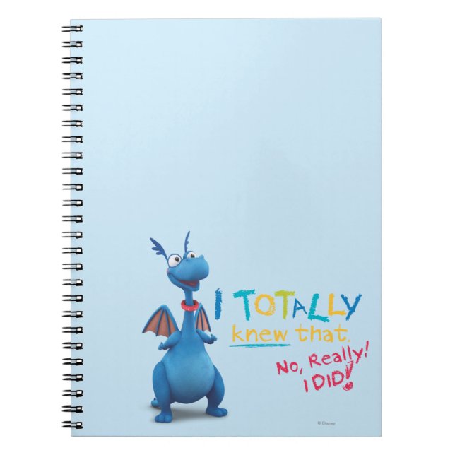 Stuffy - I Totally Knew that Notebook (Front)