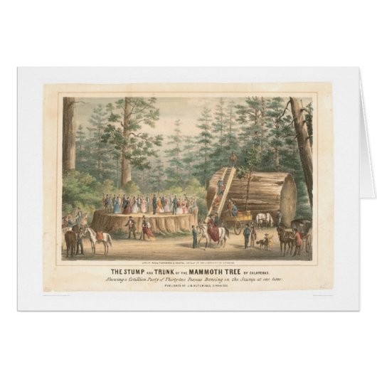Stump of the Mammoth Tree of Calaveras (0977A) Cards (Front Horizontal)