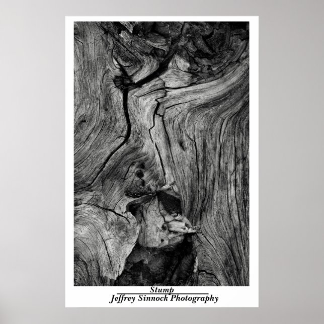 Stump Poster (Front)
