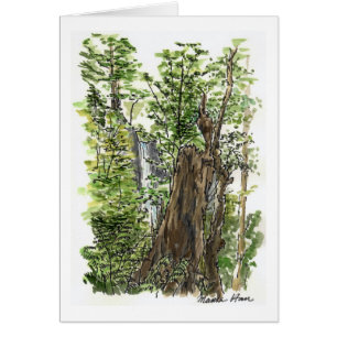 Stump & Waterfall Card