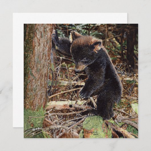 Stumped (Front/Back)