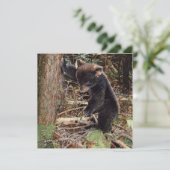 Stumped (Standing Front)