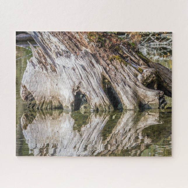 Stumped by Reflections - Jigsaw Puzzle (Horizontal)