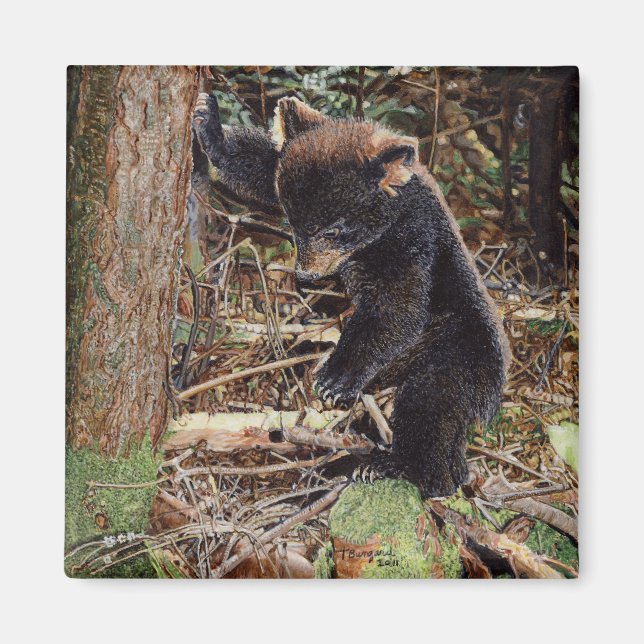 Stumped Magnet (Front)