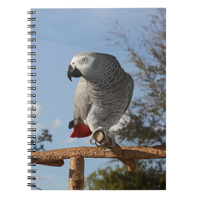 Stunning African Gray Parrot Notebook (Front)