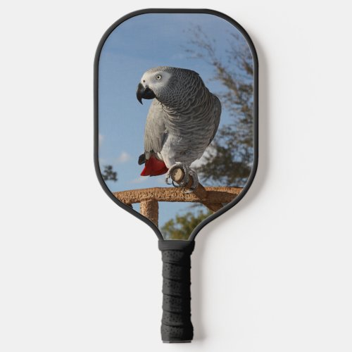Stunning African Gray Parrot Pickleball Paddle