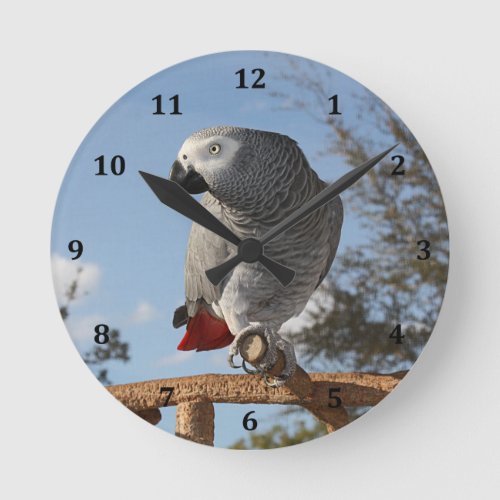 Stunning African Gray Parrot Round Clock