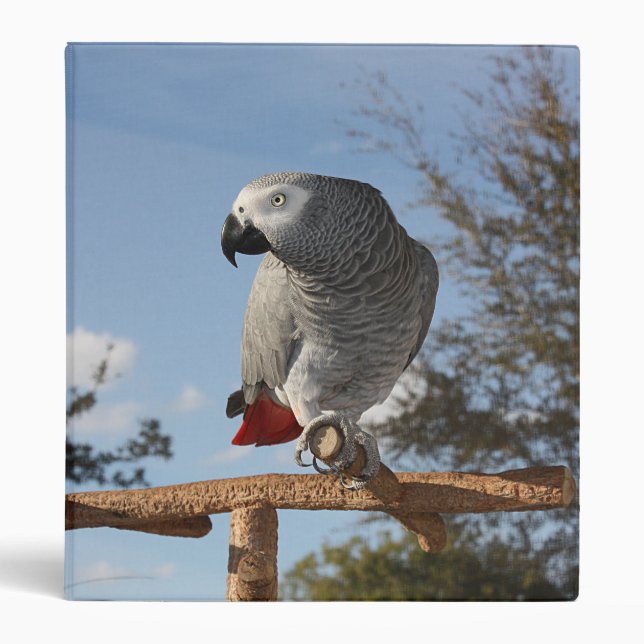 Stunning African Grey Parrot Binder (Front)