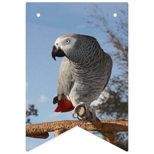 Stunning African Grey Parrot Bunting Flags