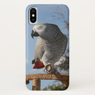 Stunning African Grey Parrot iPhone X Case