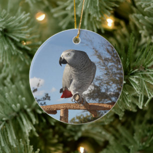 Stunning African Grey Parrot Ceramic Ornament