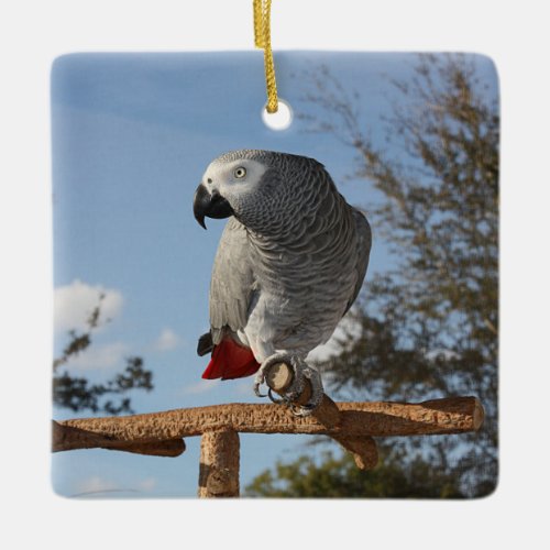 Stunning African Grey Parrot Ceramic Ornament