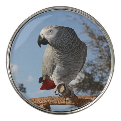 Stunning African Grey Parrot Golf Ball Marker