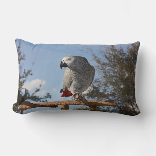 Stunning African Grey Parrot Lumbar Pillow