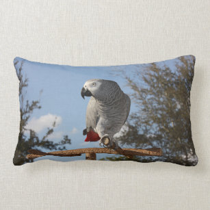 Stunning African Grey Parrot Lumbar Pillow