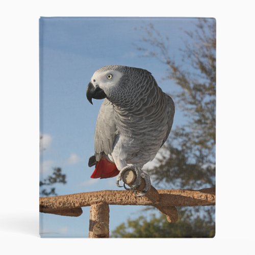 Stunning African Grey Parrot Mini Binder