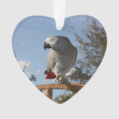 Stunning African Grey Parrot Ornament