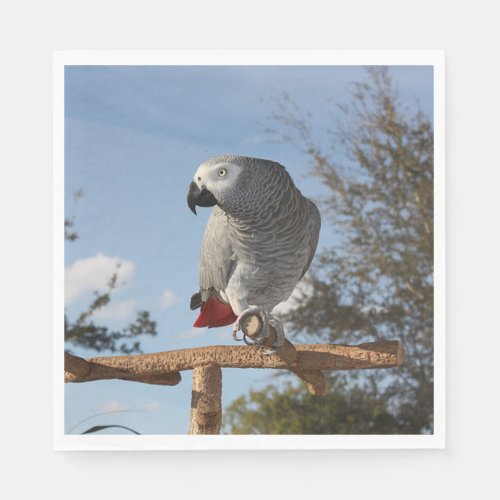 Stunning African Grey Parrot Paper Napkins