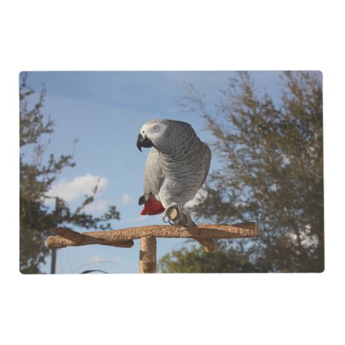 Stunning African Grey Parrot Placemat