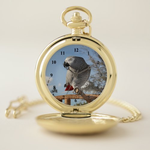 Stunning African Grey Parrot Pocket Watch