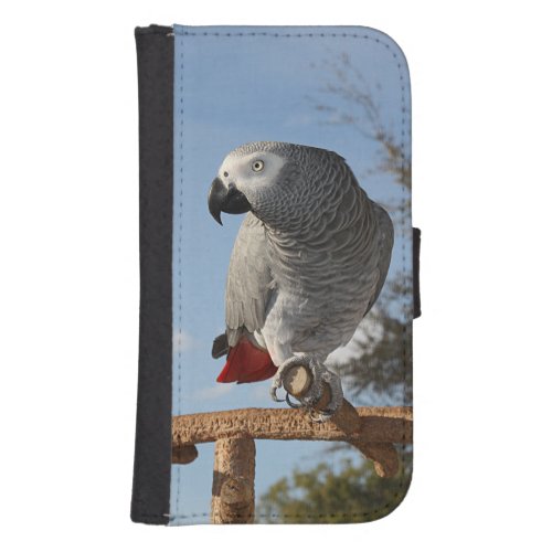 Stunning African Grey Parrot Galaxy S4 Wallet Case