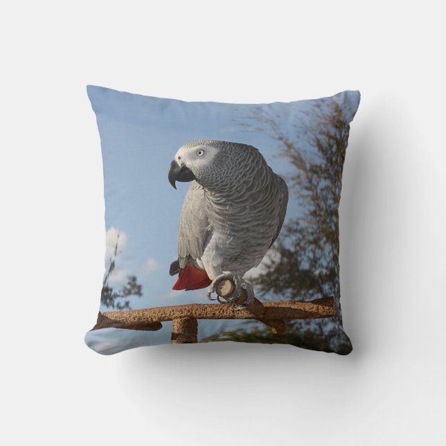Stunning African Grey Parrot Throw Pillow (Front)