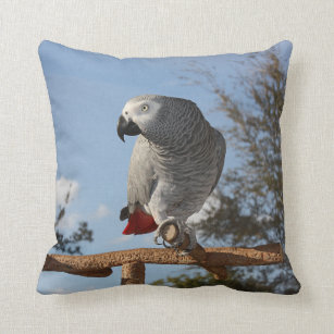 Stunning African Grey Parrot Throw Pillow