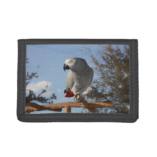 Stunning African Grey Parrot Trifold Wallet