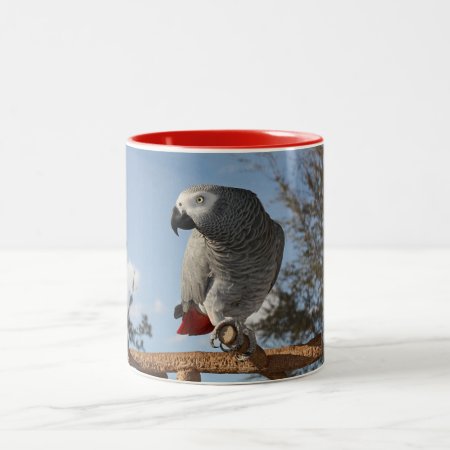 Stunning African Grey Parrot Two-tone Coffee Mug
