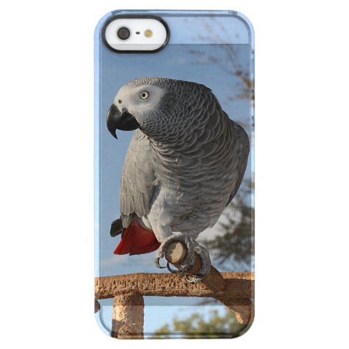 Stunning African Grey Parrot Clear iPhone SE55s Case
