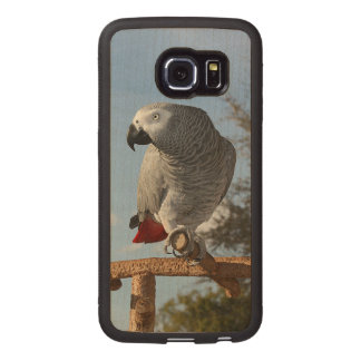 Stunning African Grey Parrot Wood Phone Case