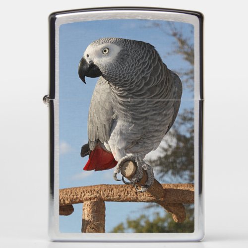 Stunning African Grey Parrot Zippo Lighter