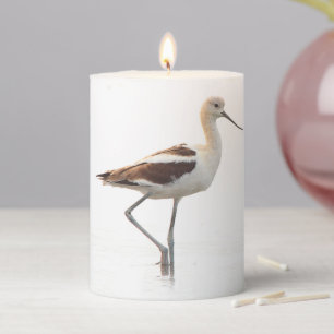 Stunning American Avocet Bird Strolling the Beach Pillar Candle
